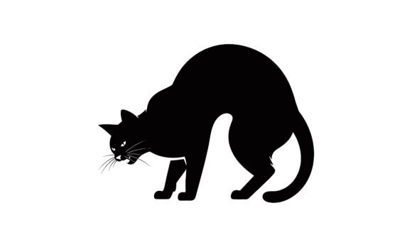 Download Aggressive Black Cat Vector Illustration - Premium Resources